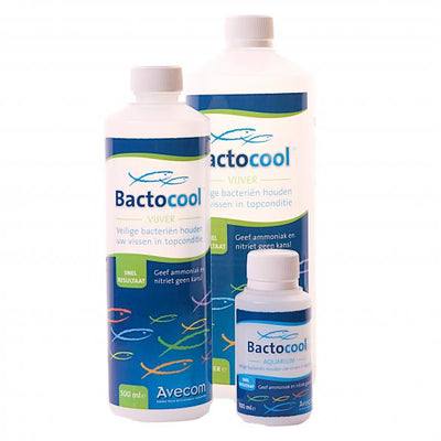 Bactocool levende bacteriecultuur